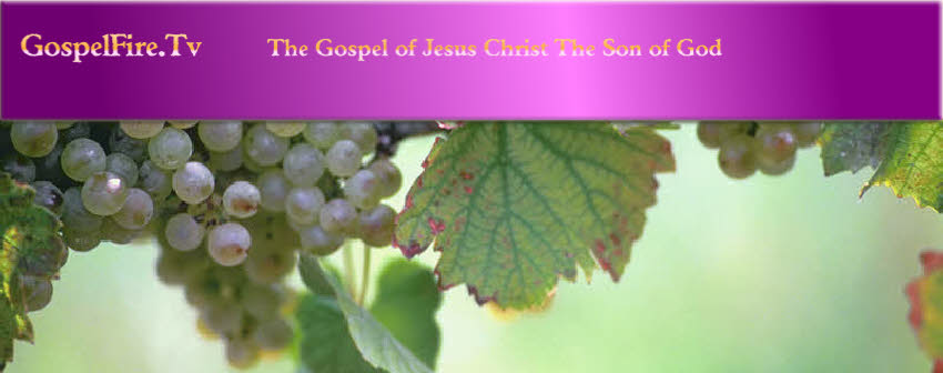  GospelFire.Tv     The Gospel of Jesus Christ The Son of God                                                                                                              
                                        